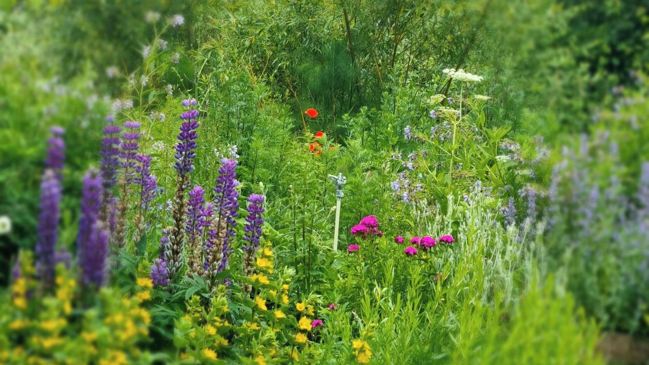 Photo of Outdoor in Sakskobing