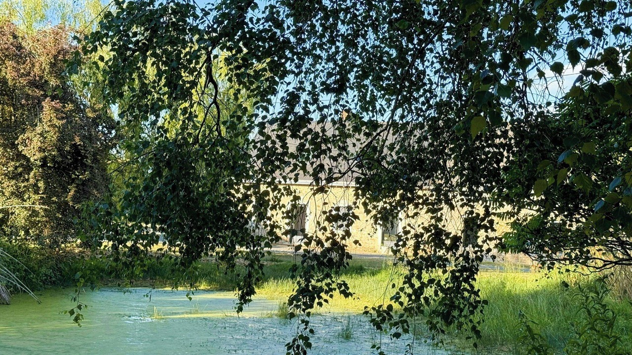 Photo of Outdoor in Joue En Charnie