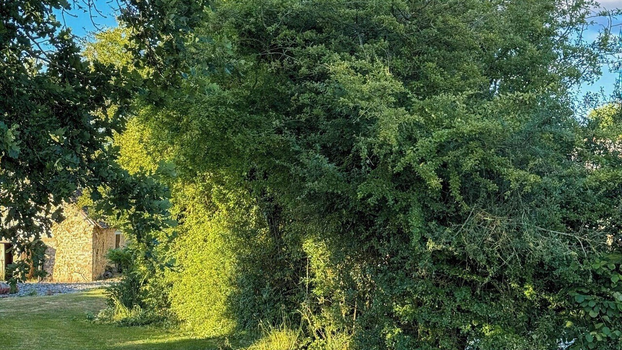 Photo of Outdoor in Joue En Charnie