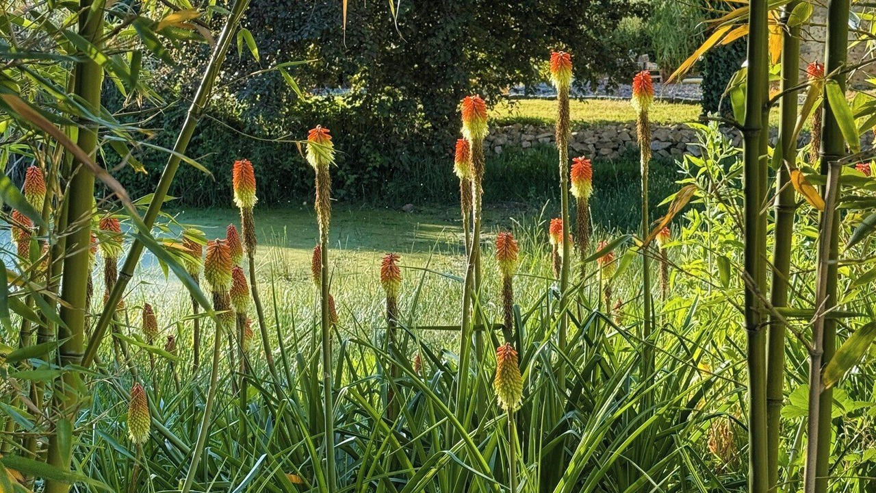 Photo of Outdoor in Joue En Charnie
