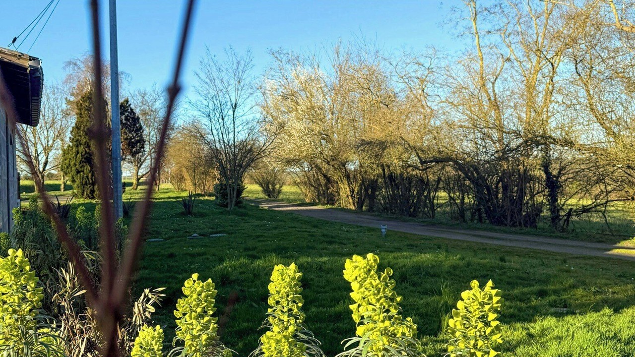 Photo of Outdoor in Joue En Charnie