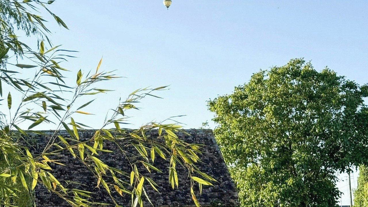 Photo of Outdoor in Joue En Charnie