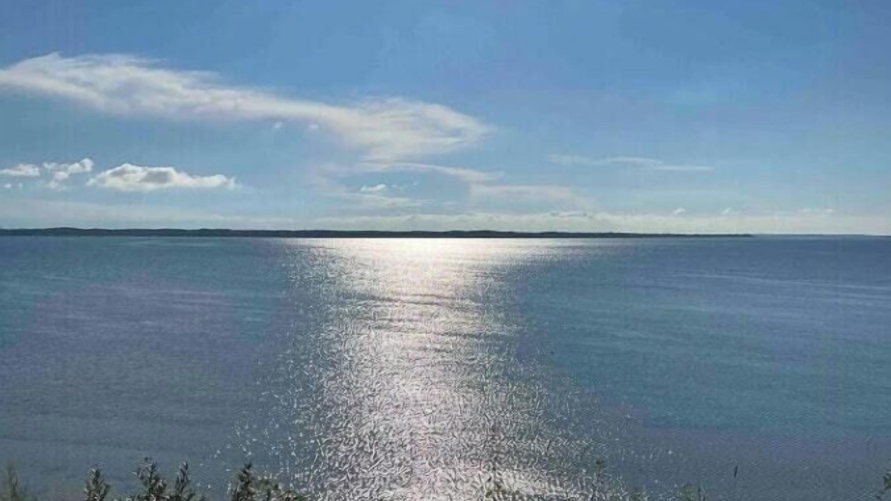 Photo of Others in Frederiksvaerk