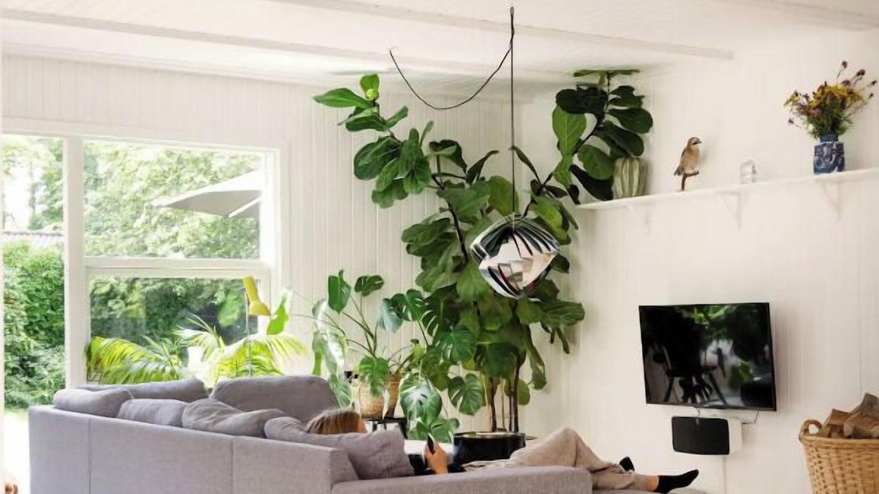 Photo of Livingroom in Solrød Kommune