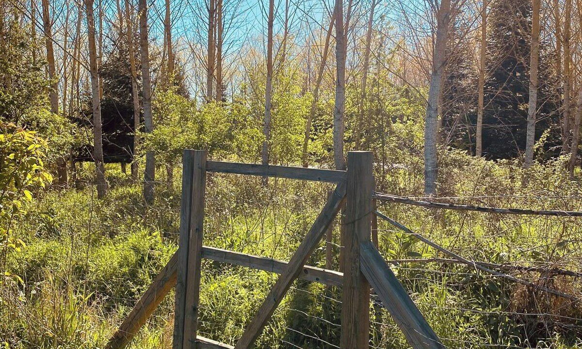 Photo of Outdoor in Borup