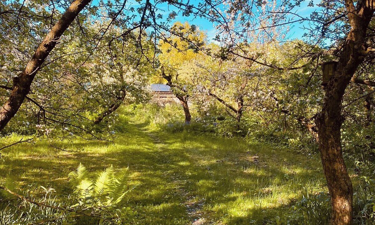 Photo of Outdoor in Borup