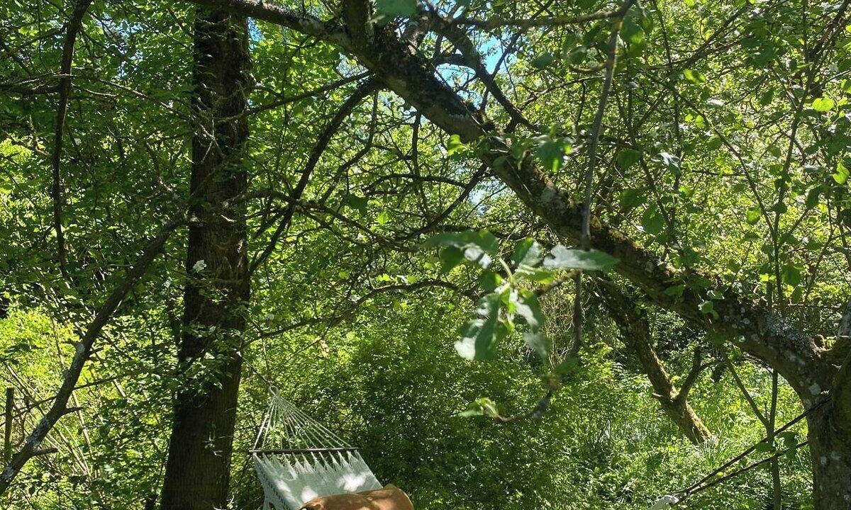 Photo of Outdoor in Borup