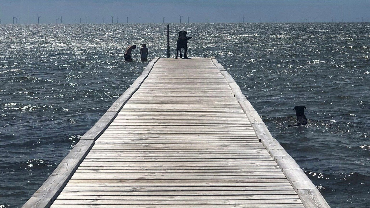 Photo of Others in Nysted
