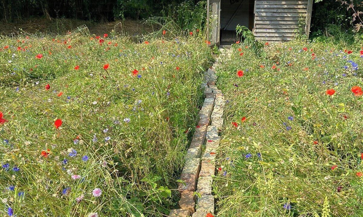 Photo of Outdoor in Haarby