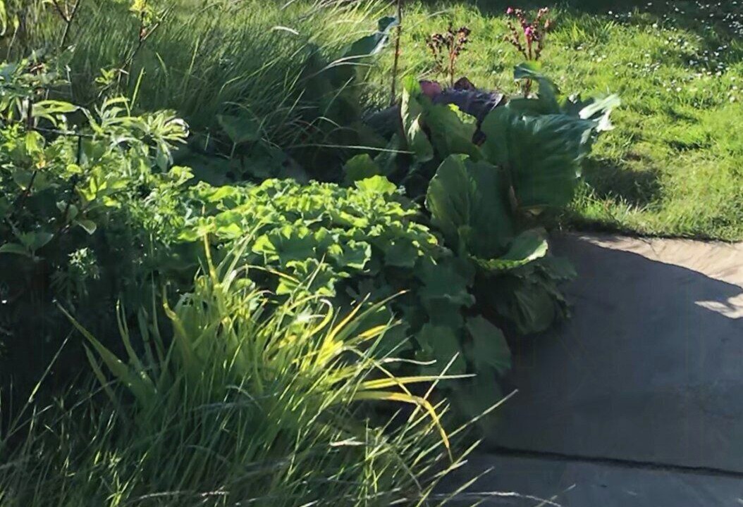 Photo of Outdoor in Sjllands Odde