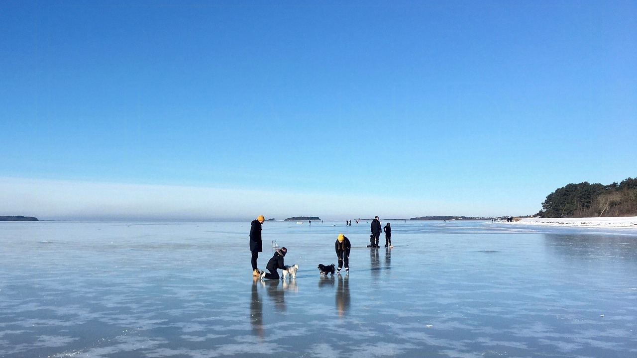 Photo of Others in Vordingborg