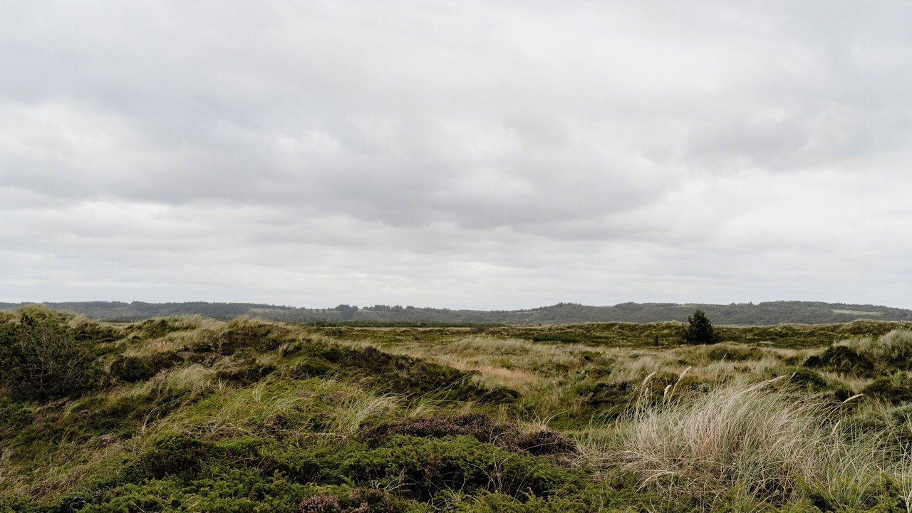 Photo of Others in Slette Strand