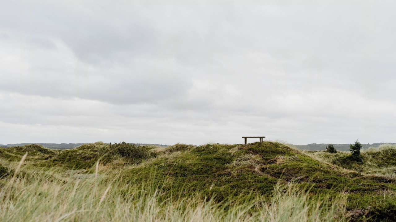 Photo of Others in Slette Strand