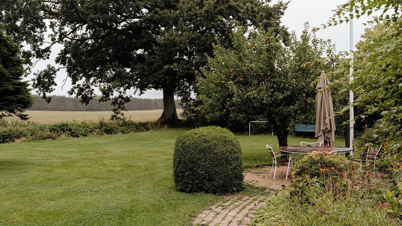 Photo of Outdoor in Hornbaek