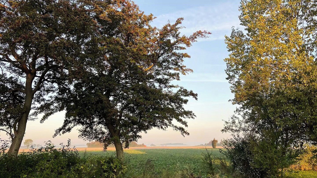 Photo of Others in Lolland Municipality