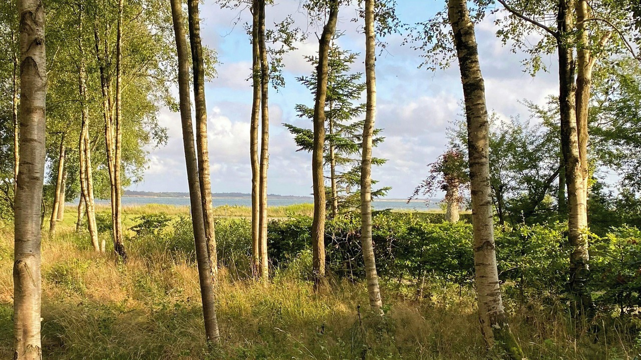 Photo of Others in Sillerslev