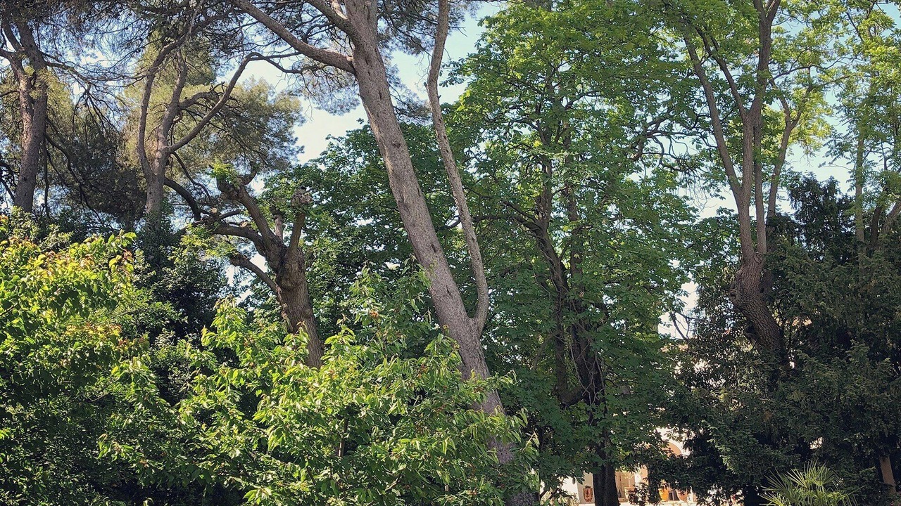 Photo of Outdoor in Beaux Arts-Boutonnet