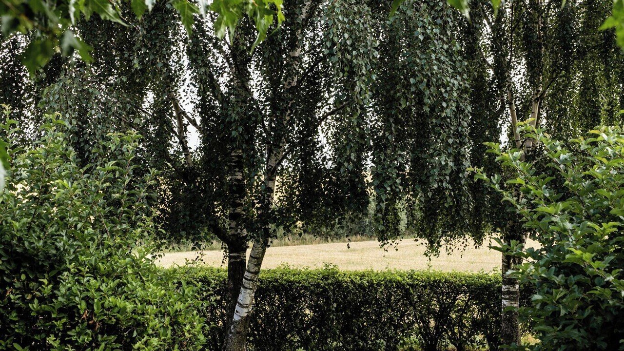 Photo of Outdoor in Hornsyld