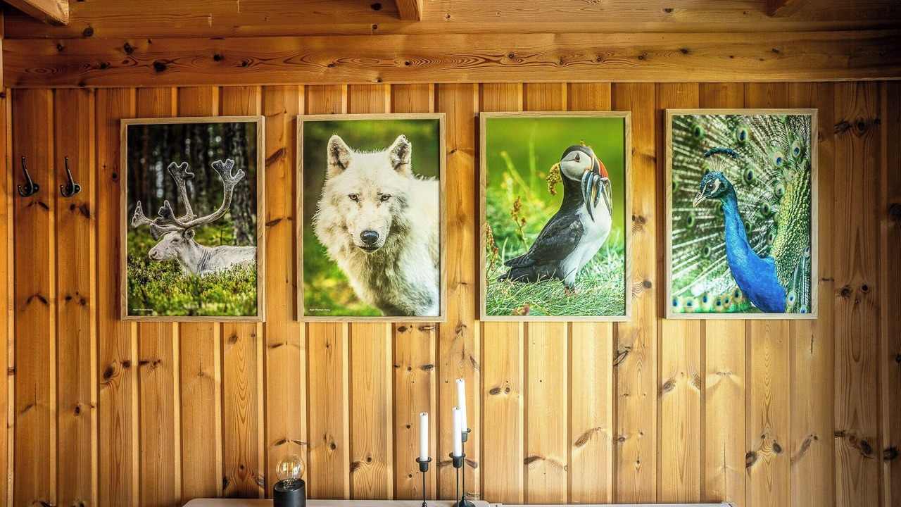 Photo of Others in Store Kongsmark
