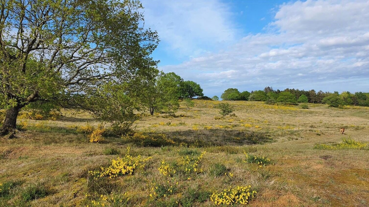Photo of Others in Norddjurs Municipality
