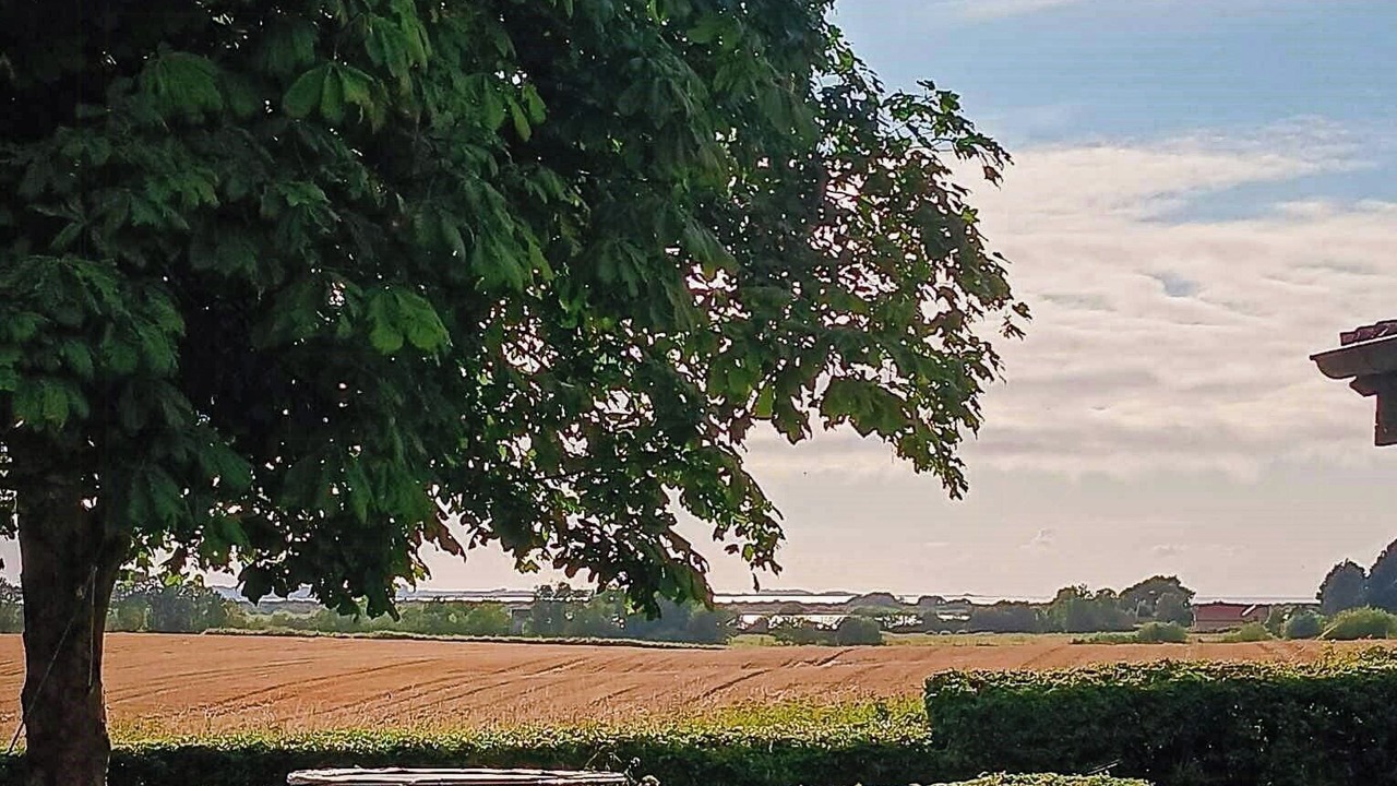 Photo of Outdoor in Havnsø