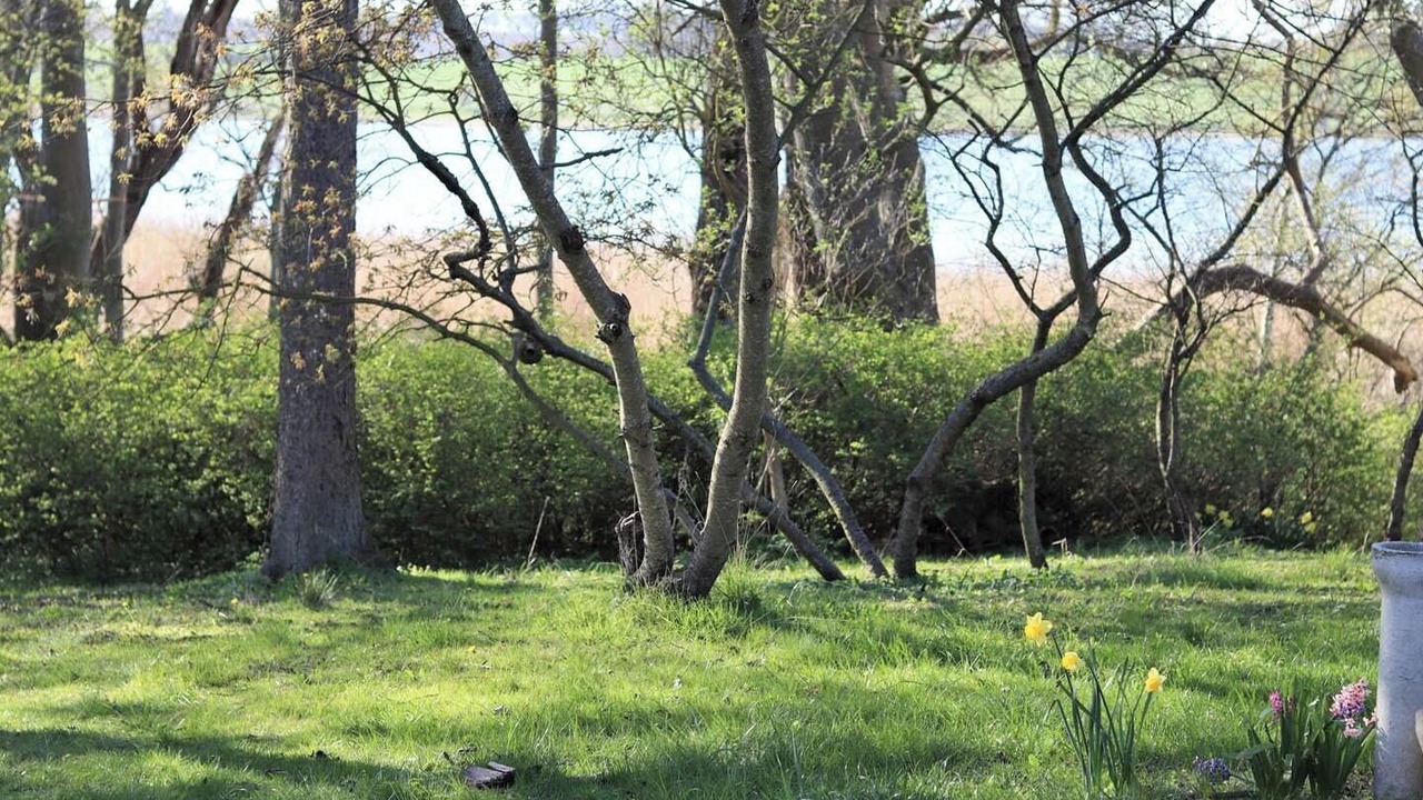 Photo of Outdoor in Stege