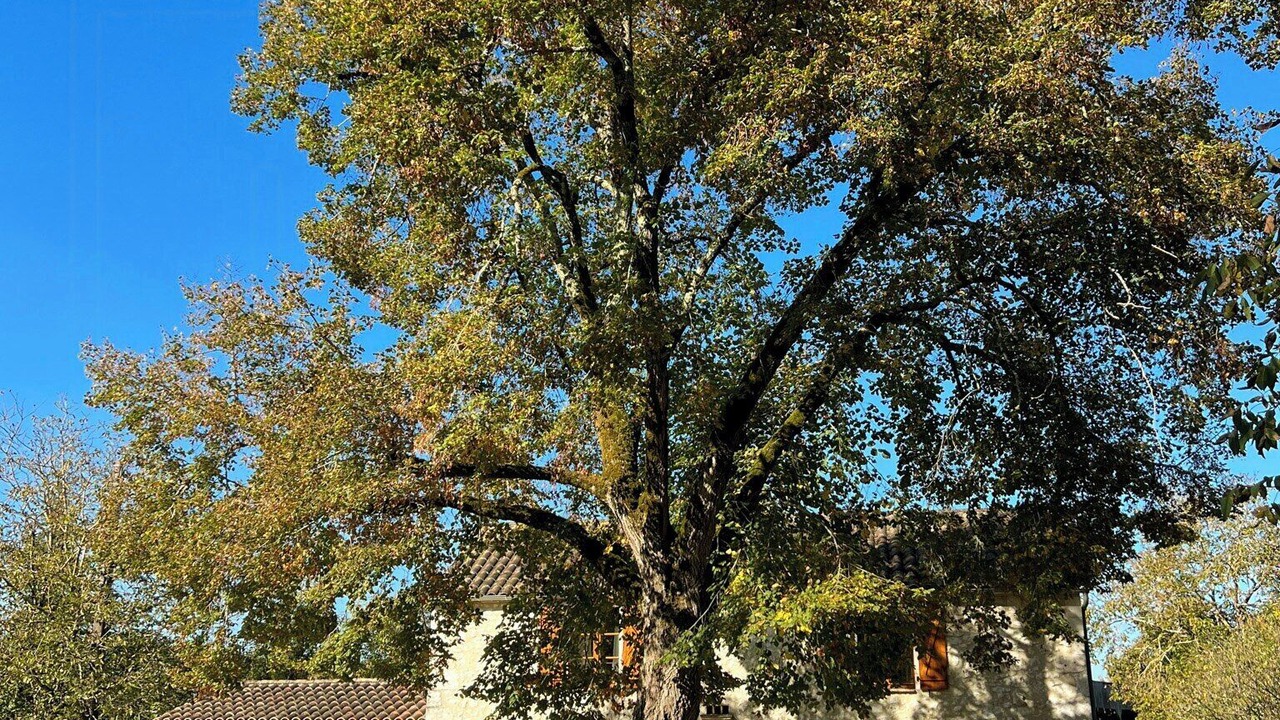 Photo of Outdoor in Saint-Cernin-de-Labarde