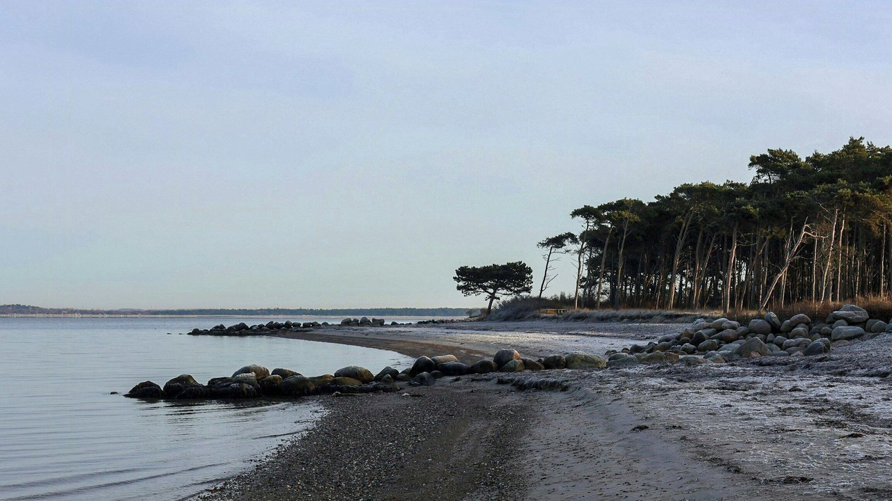 Photo of Others in Reersø
