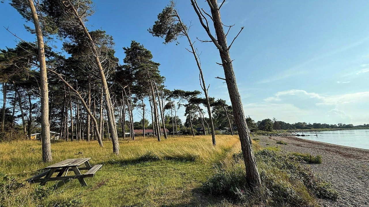 Photo of Others in Reersø