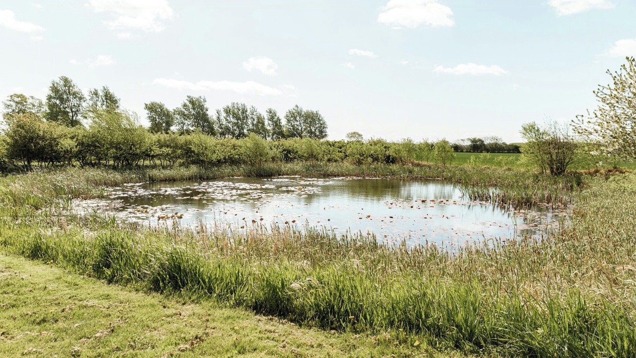 Photo of Outdoor in Juelsminde