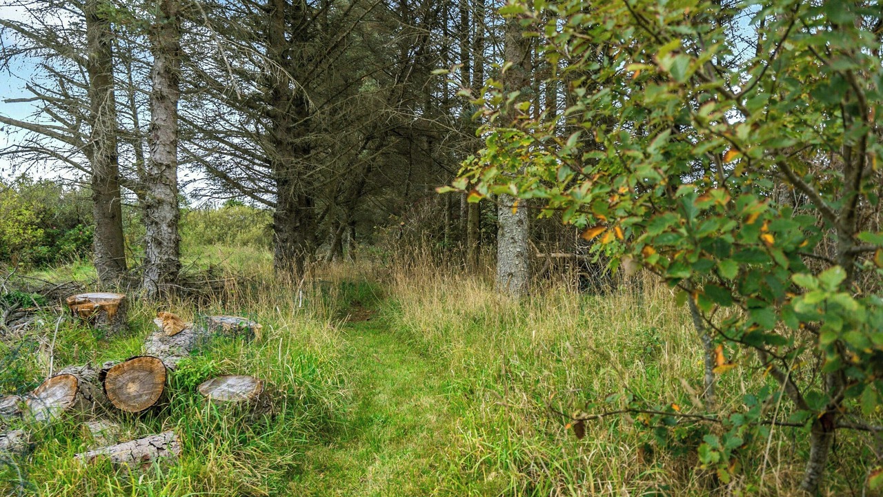 Photo of Others in Ulfborg