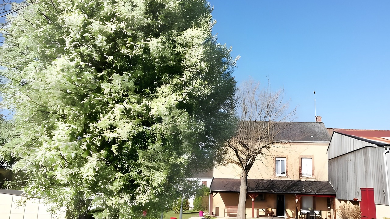 Photo of Outdoor in Arnac-la-Poste