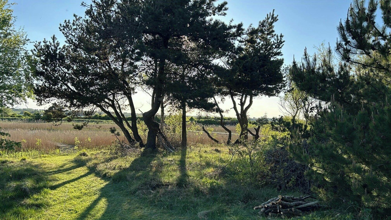 Photo of Others in Thyholm