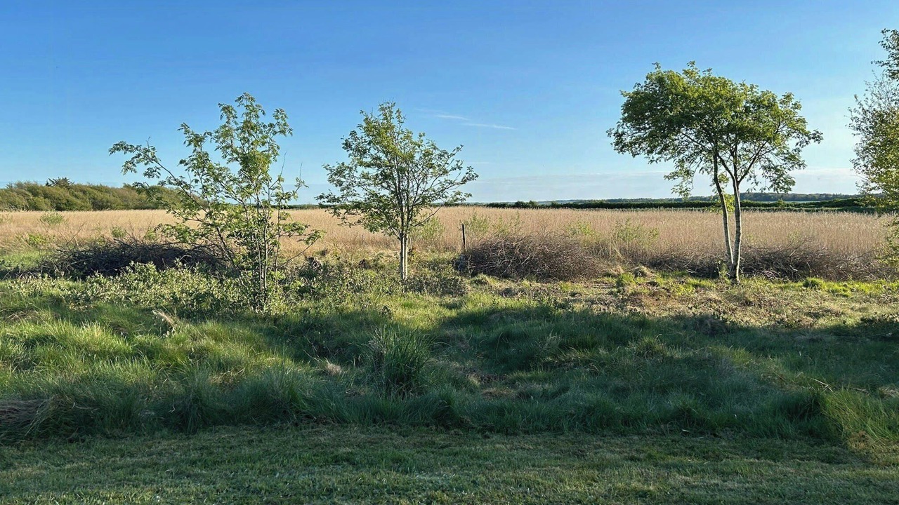 Photo of Others in Thyholm