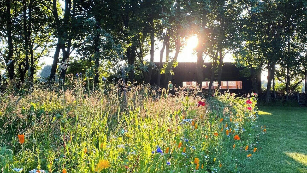 Photo of Outdoor in Randers