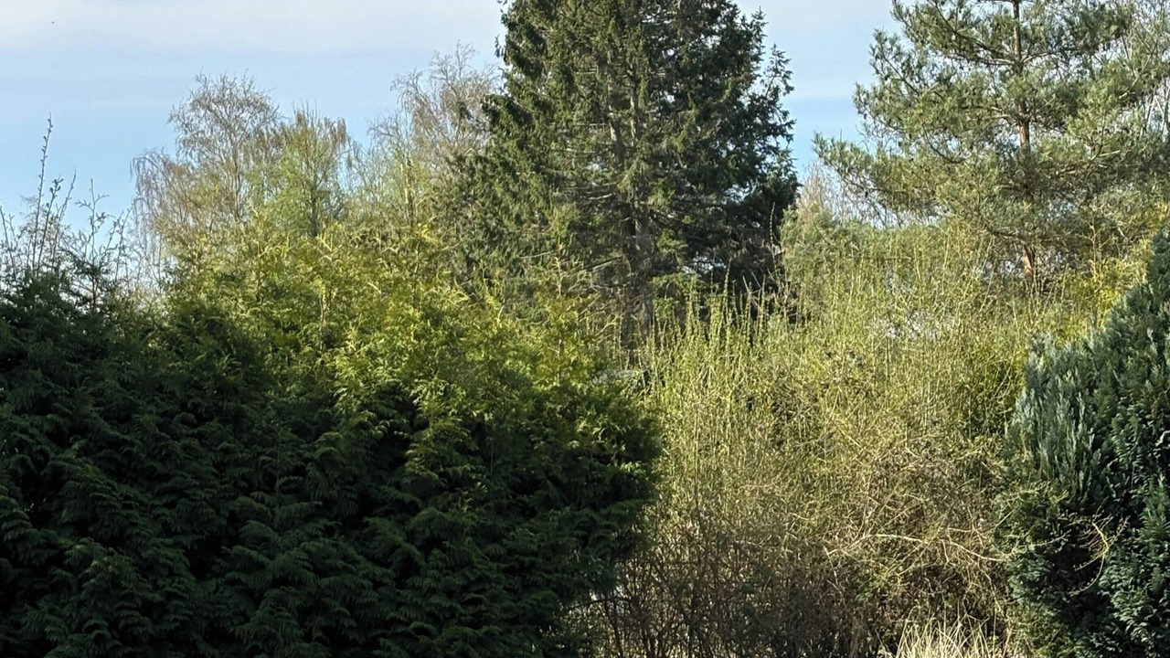 Photo of Outdoor in Nykobing Sjaelland