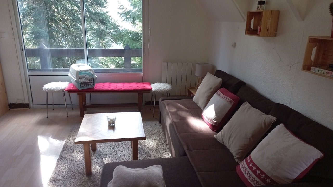 Photo of Livingroom in Guzet Neige