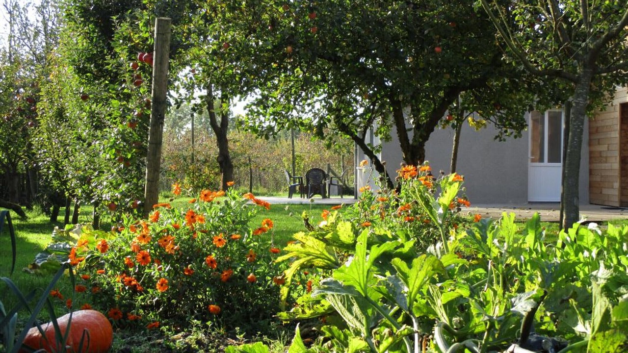 Photo of Outdoor in Saint-Waast