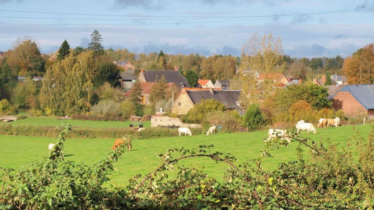 Photo of Others in Saint-Waast