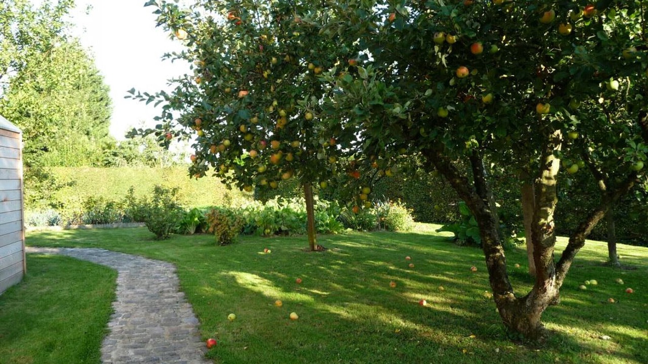 Photo of Outdoor in Saint-Waast