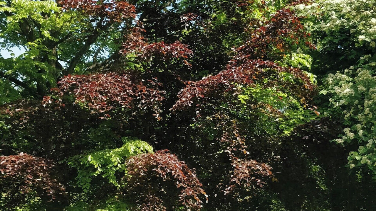 Photo of Outdoor in Ronde