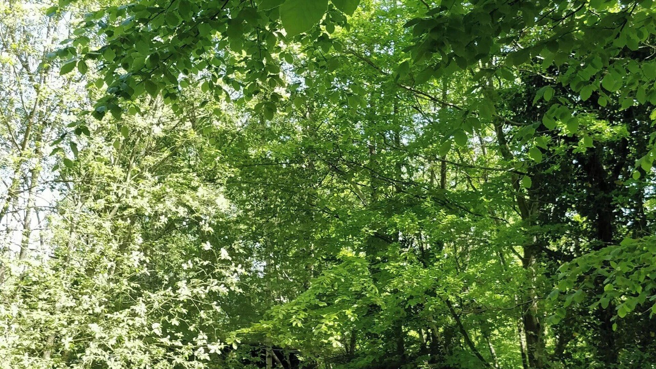 Photo of Outdoor in Ronde