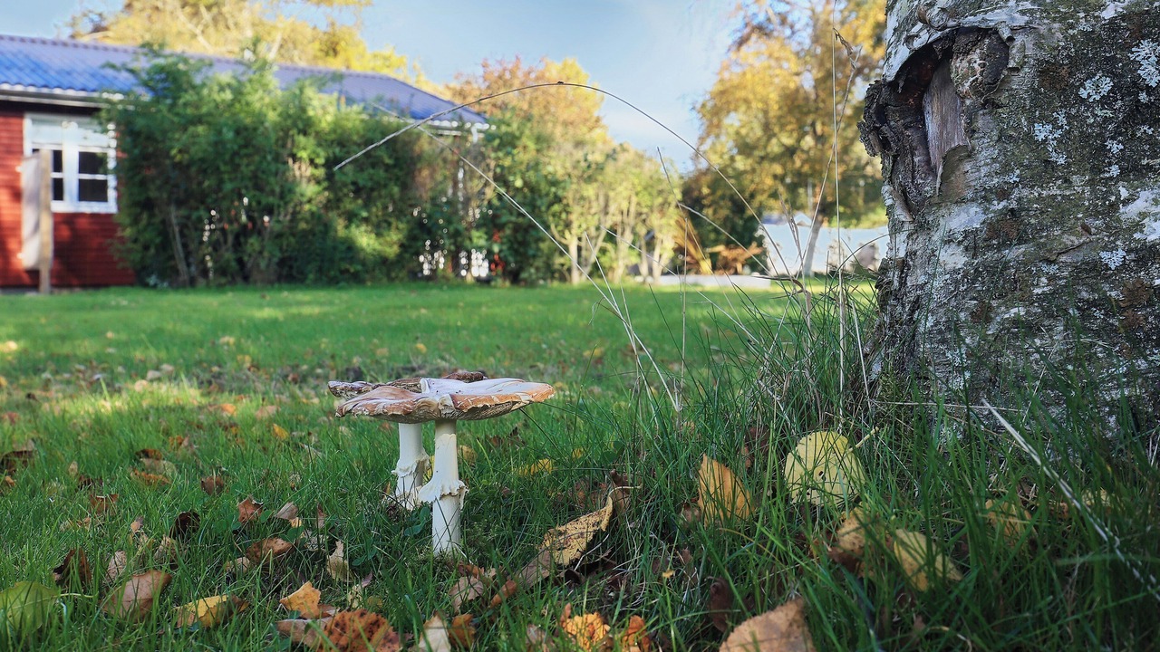 Photo of Outdoor in Egense