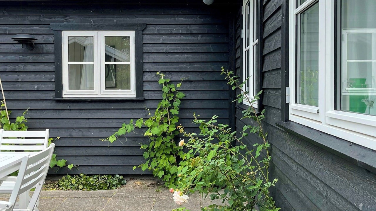 Photo of Outdoor in Liseleje