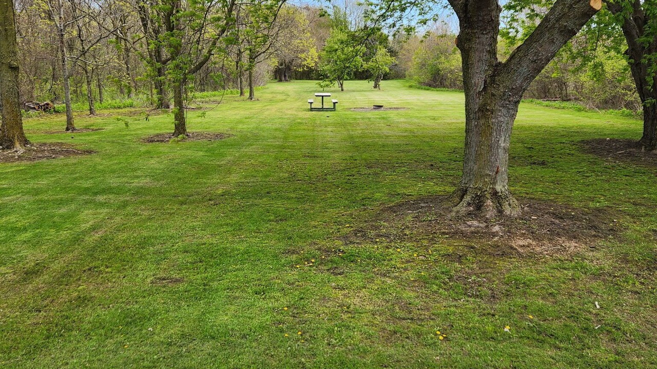Photo of Outdoor in Kingsville