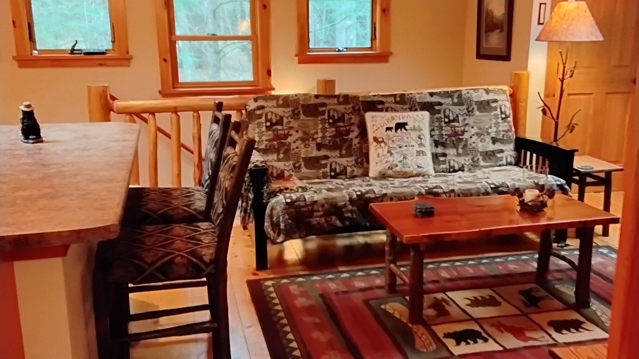 Photo of Livingroom in Keene Valley