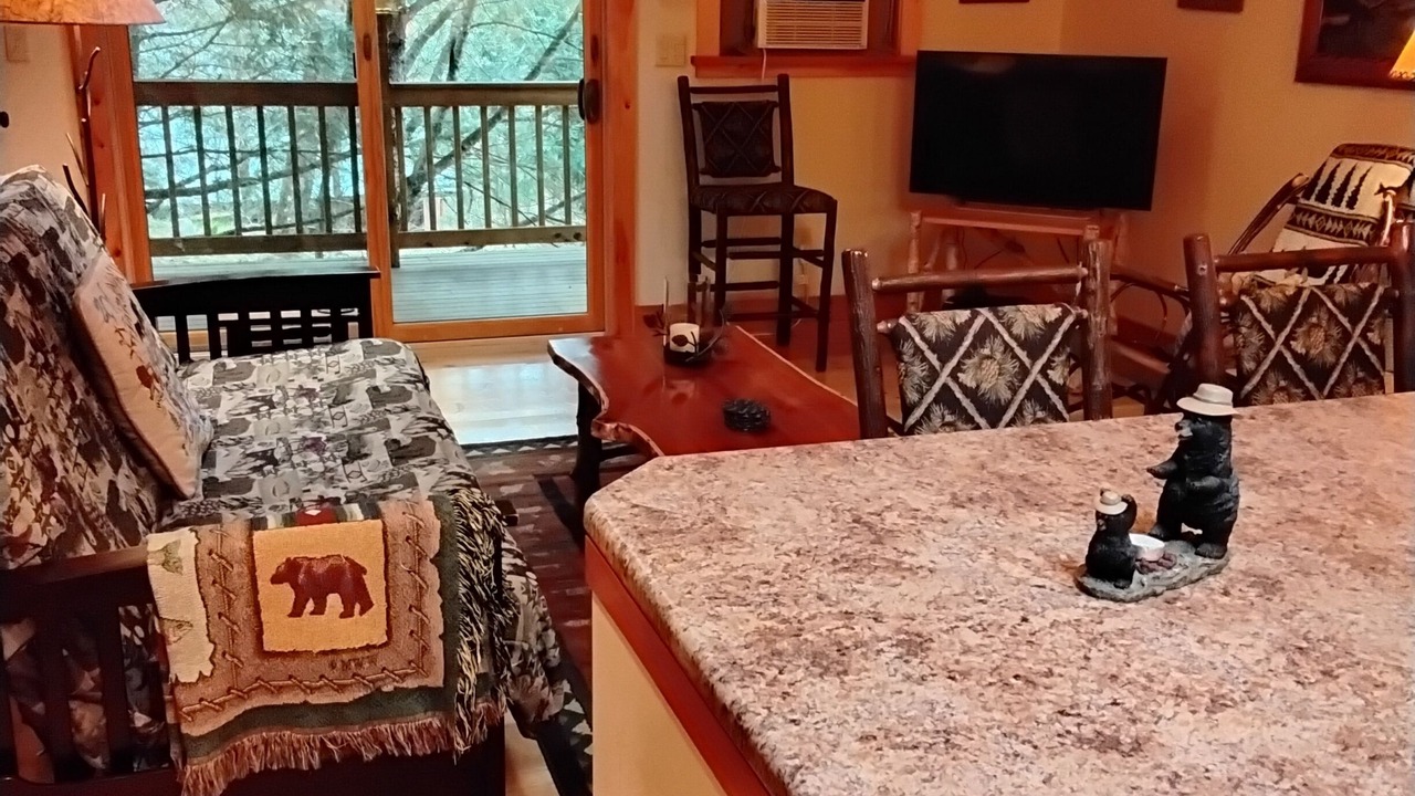 Photo of Livingroom in Keene Valley