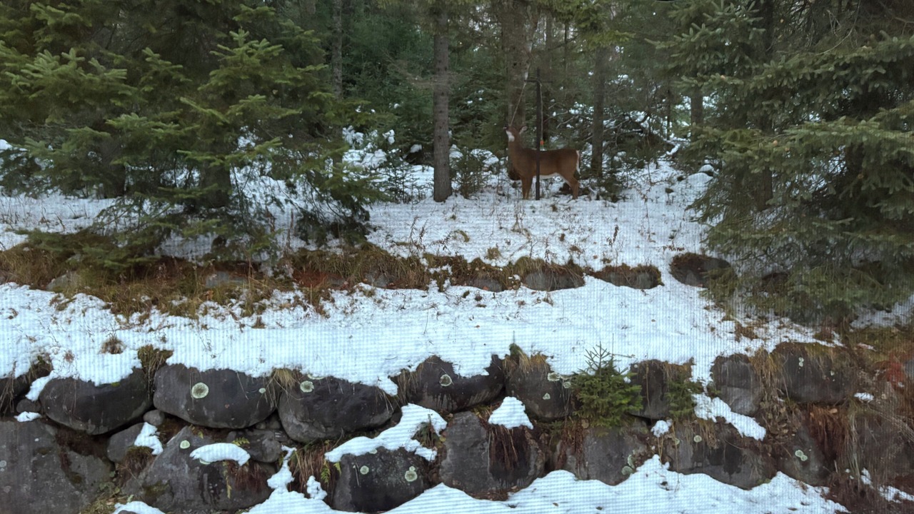Photo of Outdoor in Val David
