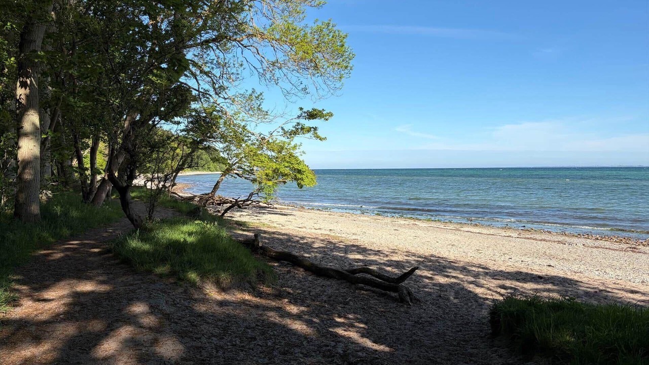 Photo of Others in Hoeve Strand