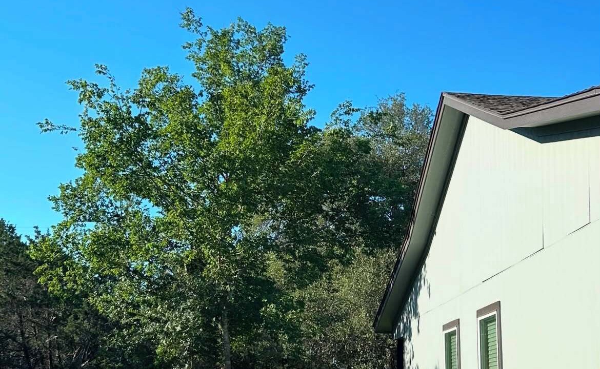 Photo of Outdoor in Spring Branch